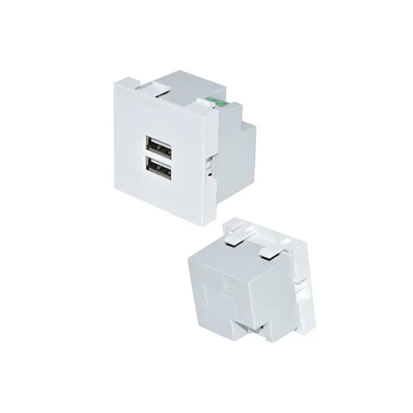 TypeA+A Usb Charger Socket Module 2.1A met glad paneel