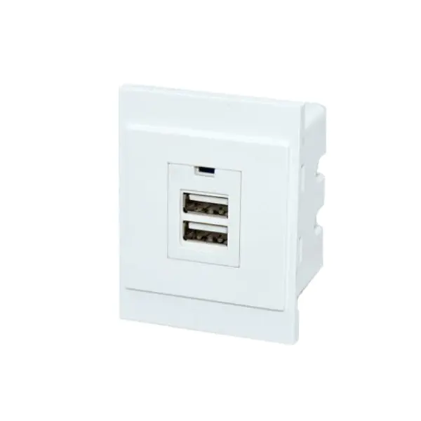 TypeA+A Usb Charger Socket Module 2.1A Zonder LED Licht